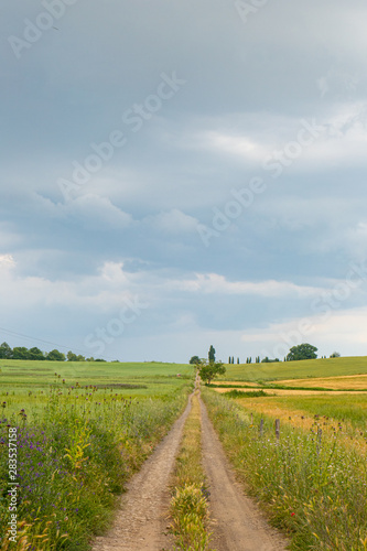 sentieri di campagna nel centro italia  lazio  con fiori  laberi e nuvole