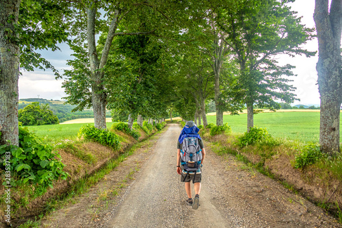 Un viaggiatore solitario lungo una strada di campagna con lo zaino nel giugno 2019