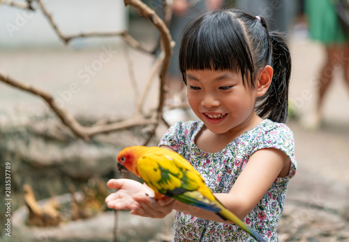 Child is feeding a bird