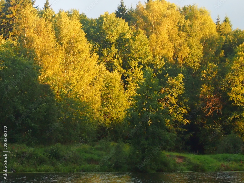 autumn in the park