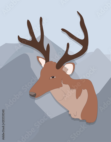 portrait of a deer on a colored background