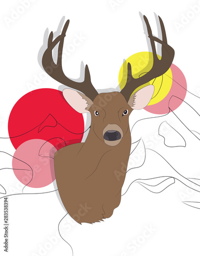 portrait of a deer on a colored background