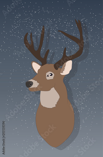 portrait of a deer on a colored background