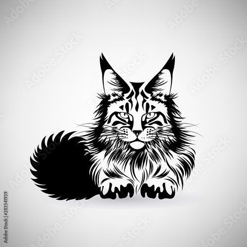 Portrait of a Cat with a Predatory Gaze