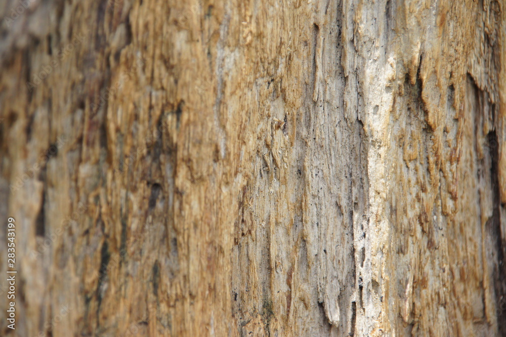 background, old wooden wall, wood pattern background, old wooden wall, wood pattern