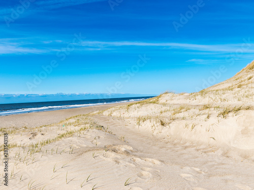 landscape with sand and grass  North Sea coast