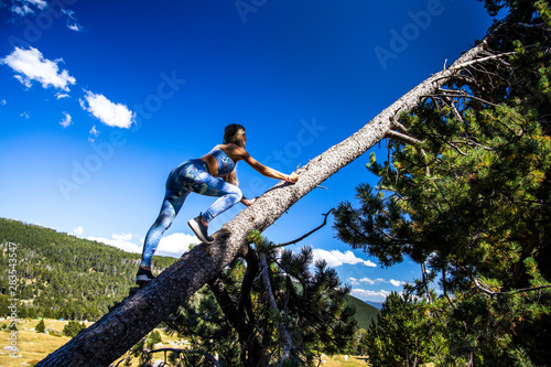 chica escalando un arbol en los prineos de catalu  a