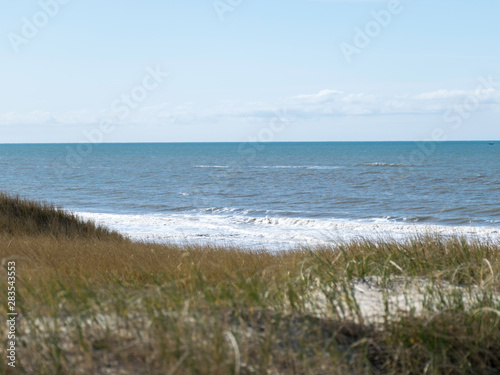 landscape with sand and grass, North Sea coast