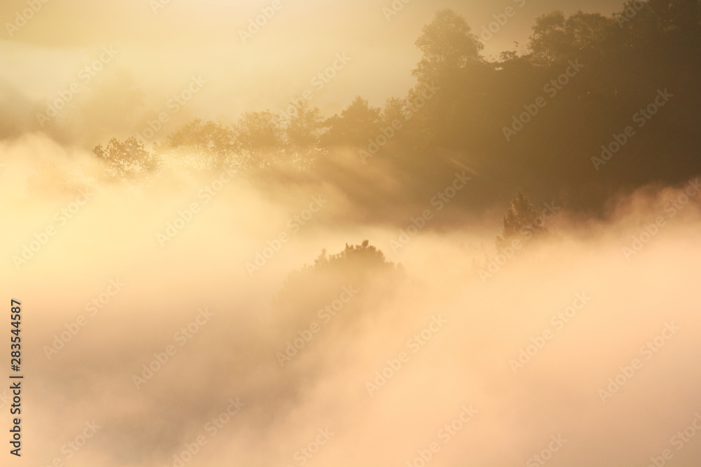 Golden light in Forested and mountain with sunrise in morning mist.Fog cover the jungle hill in Thailand Golden light in Forested and mountain with sunrise in morning mist.Fog cover the jungle hill in Thailand
