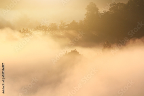 Golden light in Forested and mountain with sunrise in morning mist.Fog cover the jungle hill in Thailand