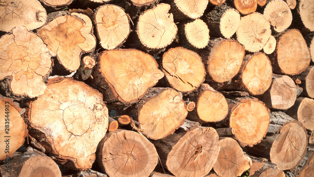 Pine-tree logs background. Cut trees put together. Pine-tree logs background. Cut trees put together.