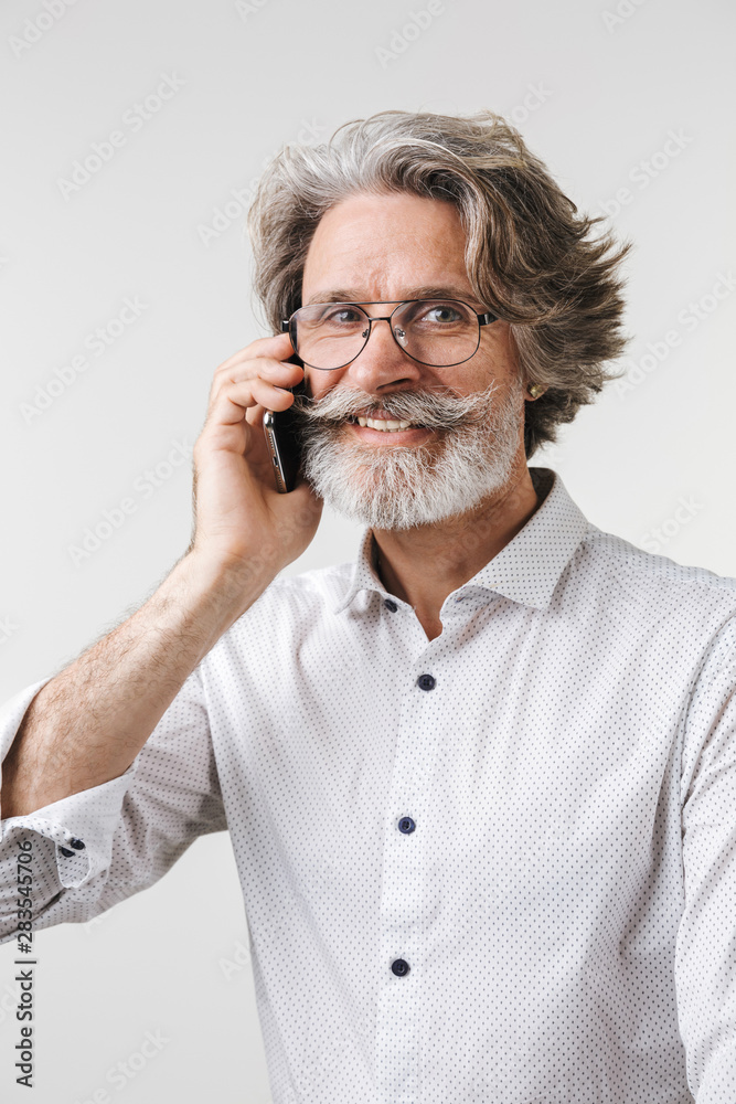 Portrait of a handsome mature businessman Portrait of a handsome mature businessman