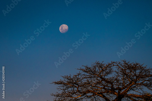 afrikanischer Mond