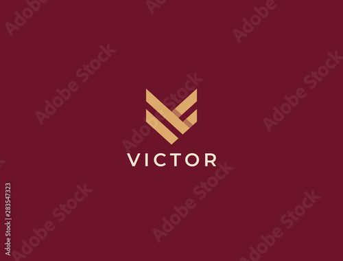 Unique modern creative elegant letter V logo template. Vector icon.