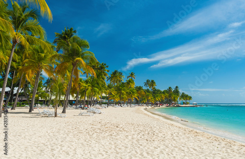Caravelle beach in Guadeloupe photo