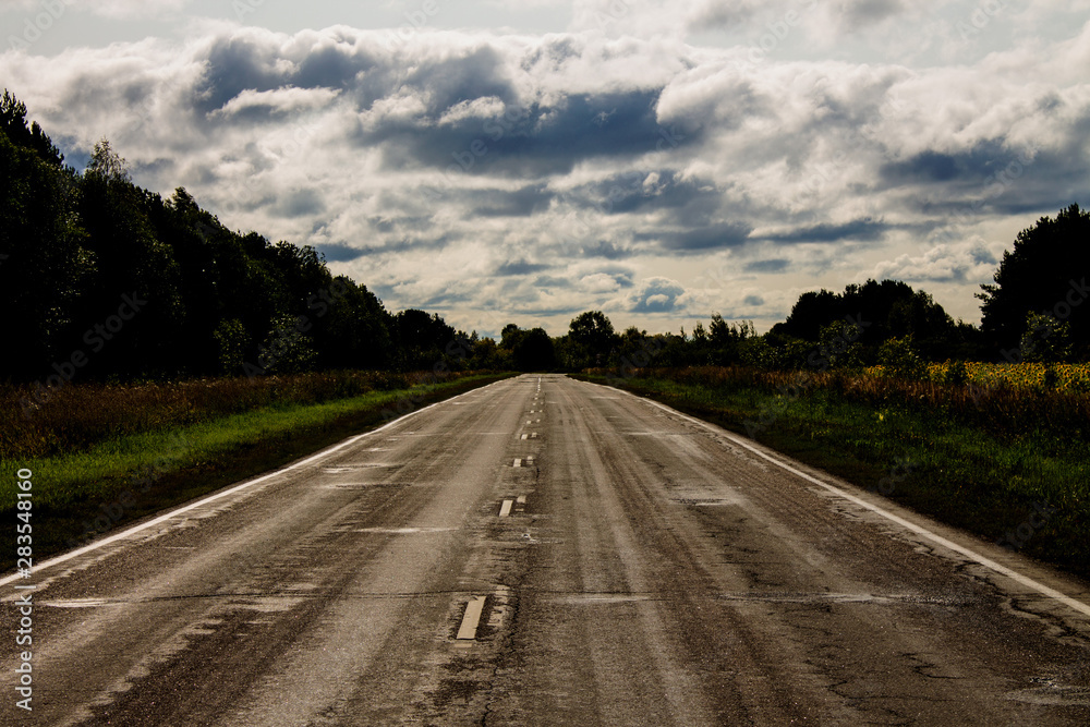 Asphalt road in the forest going to the horizon against the cloudy sky