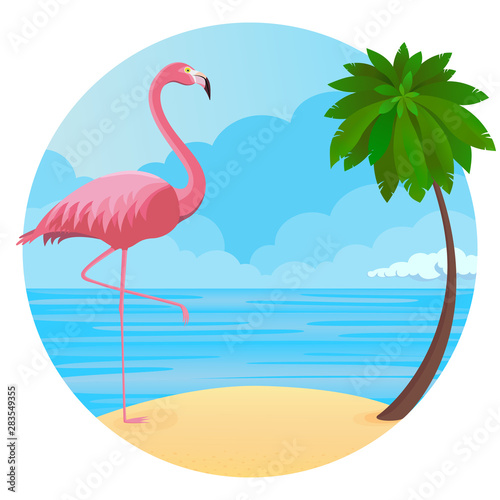 Flamingo am Strand