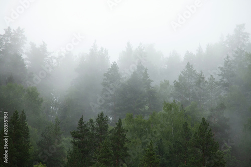 Mountain landscape with rocks and creeping fog. High peaks in the clouds, cold weather. Tourism in the mountains