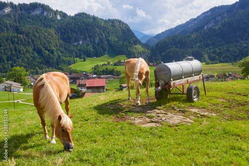 Bild auf Leinwand Beautiful mountain panorama with horses in Bavaria