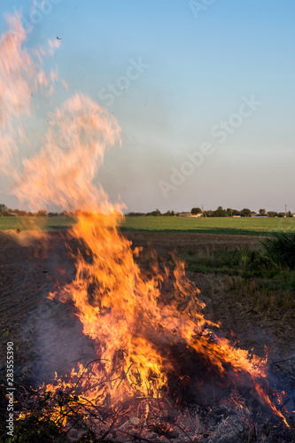Farmer burns green wastes in bonfire, bonfire outdoors, agriculture and bonfire concept