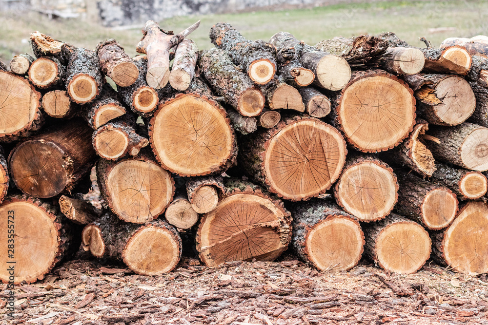 Heap of several logs. View at saw cut.