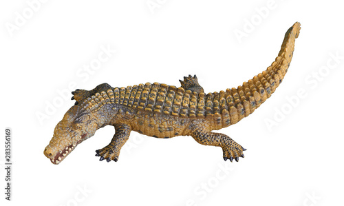 Alligator or crocodile on isolated white background © vachcameraman