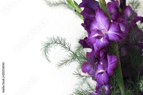 Beautiful violet gladiolus flowers on a light background. Bud of gladiolus with place for your text, greeting card. © Julia