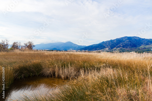 Nature reserve of the ond of Biguglia