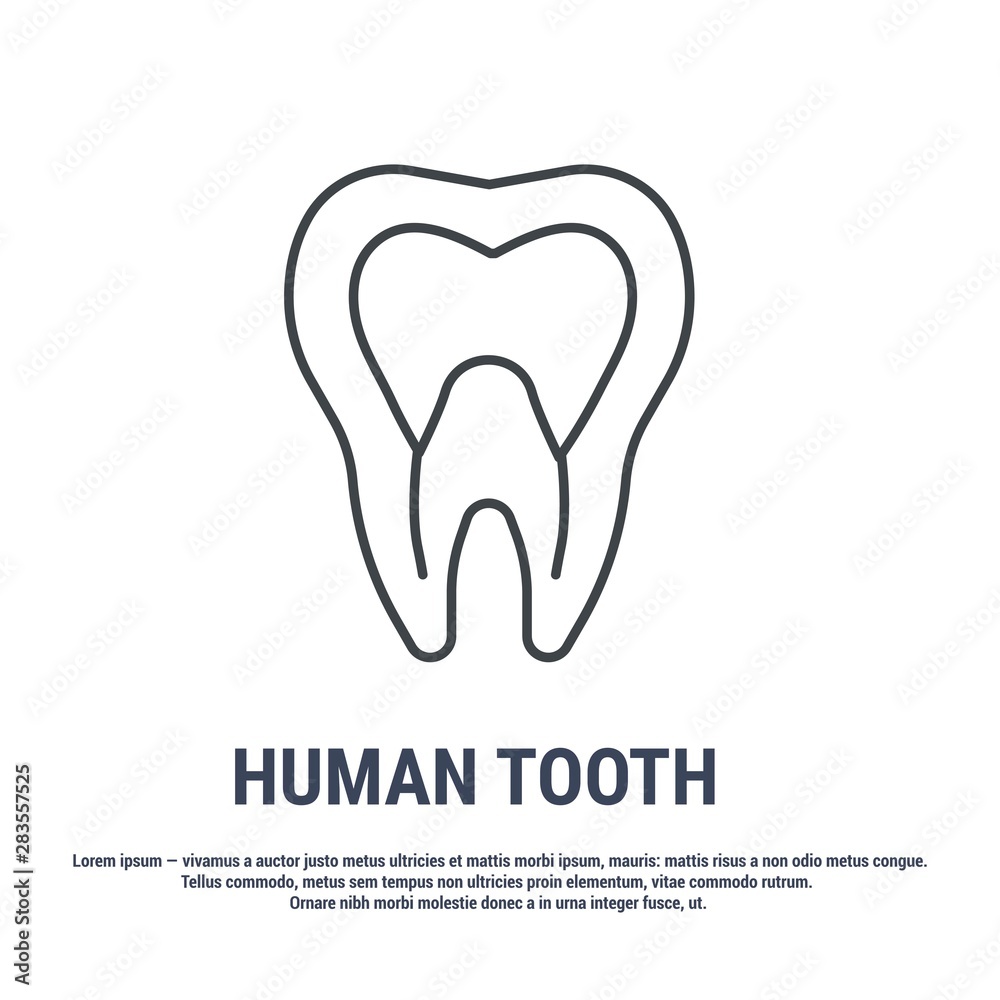Vector icon. Line design. Tooth and dental nerve. Medicine and anatomy. Anatomical structure of man. Symbol, element, sign, logo, emblem. Concept illustration. Vector icon. Line design. Tooth and dental nerve. Medicine and anatomy. Anatomical structure of man. Symbol, element, sign, logo, emblem. Concept illustration.