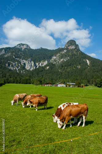 Europe, Germany, Bavaria, Berchtesgadener Land, Watzmann mountains © charles
