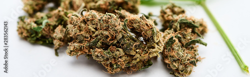 close up view of natural textured marijuana buds on white background, panoramic shot