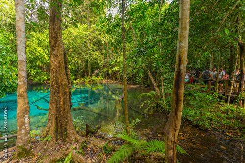 Emerald Pool (Sra Morakot) in Krabi province, Thailand. Beautiful nature scene of crystal clear blue water in tropical rainforest. © bennnn