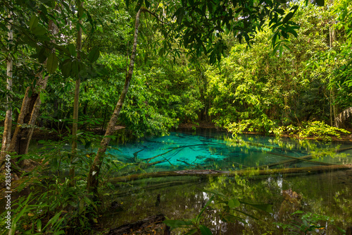 Emerald Pool  Sra Morakot  in Krabi province  Thailand. Beautiful nature scene of crystal clear blue water in tropical rainforest.