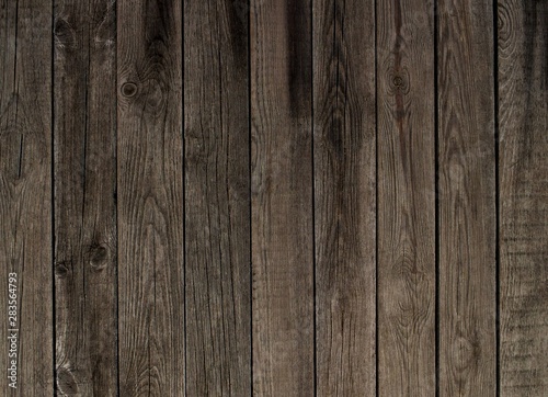 Wood plank texture background. Board without processing. Wood background.