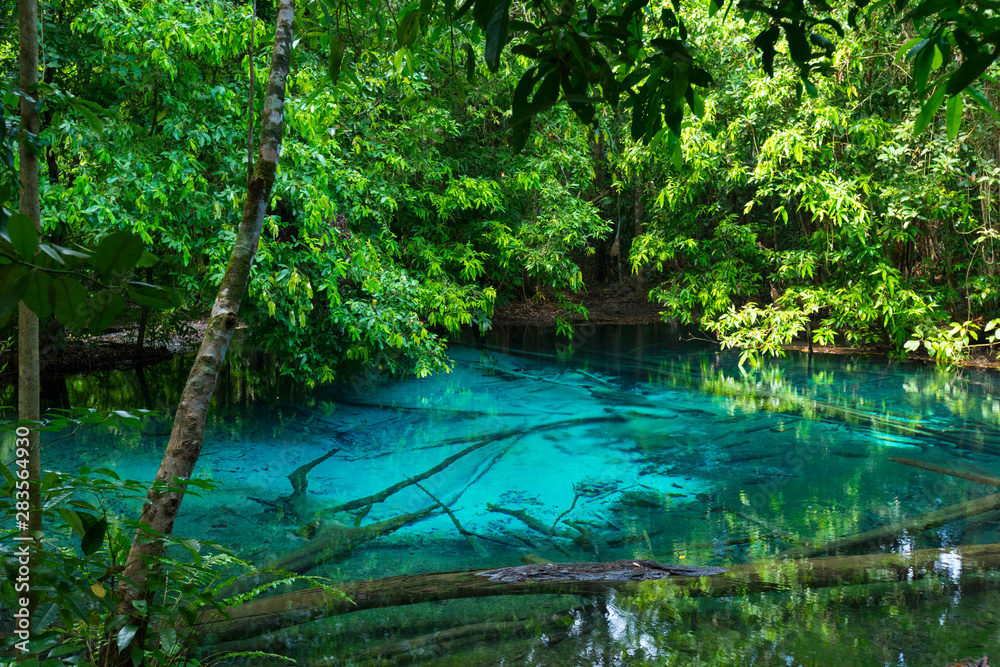 Emerald Pool (Sra Morakot) in Krabi province, Thailand. Beautiful nature scene of crystal clear blue water in tropical rainforest. Emerald Pool (Sra Morakot) in Krabi province, Thailand. Beautiful nature scene of crystal clear blue water in tropical rainforest.