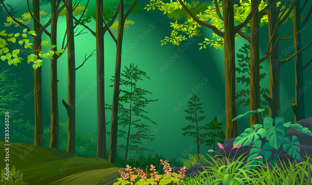 Obraz premium Moonlight illuminating a beautiful forest 