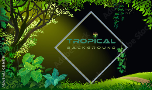 Night light illuminating a tropical forest with trees, plants and meadows.