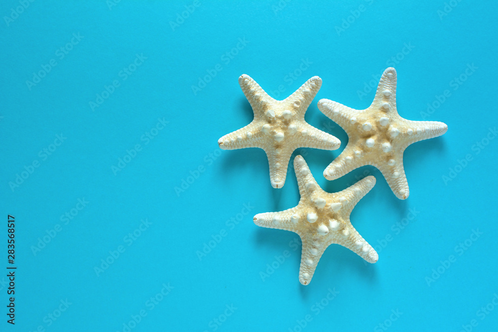Summer holiday concept with starfish on the blue background. Summer holiday concept with starfish on the blue background.