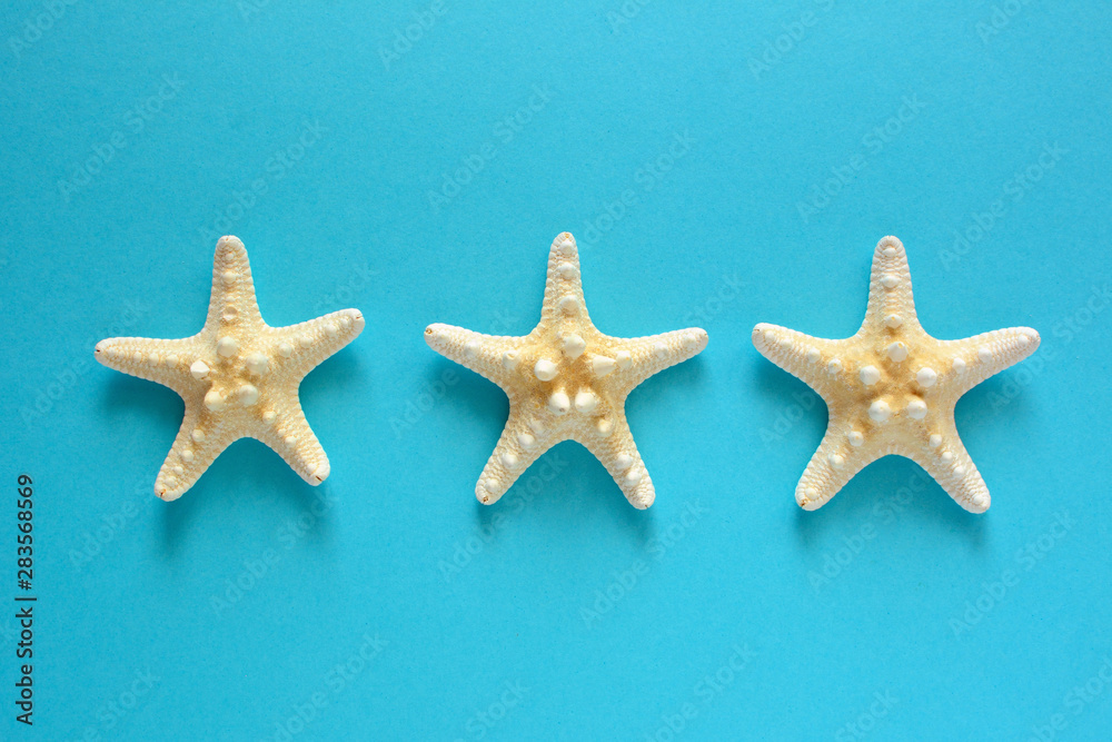 Summer holiday concept with starfish on the blue background. Summer holiday concept with starfish on the blue background.