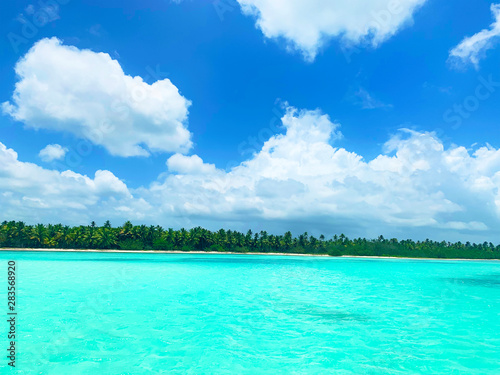 Clear Tropical Water in Paradise with blue sky © Calamity LLC