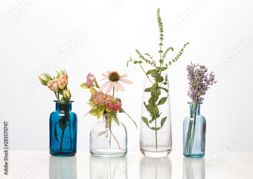 Flowers and herbs in glass bottles. Abstract flower bouquets in bottles isolated on white