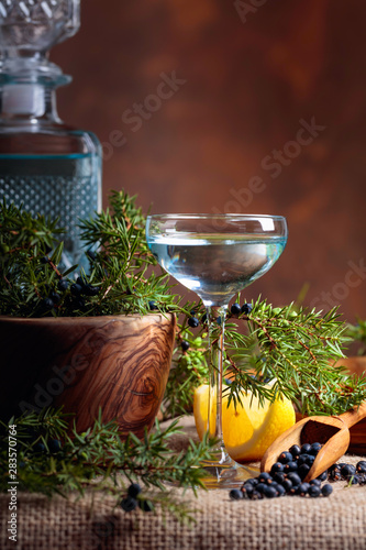 Gin, lemon and a branch of juniper with berries.