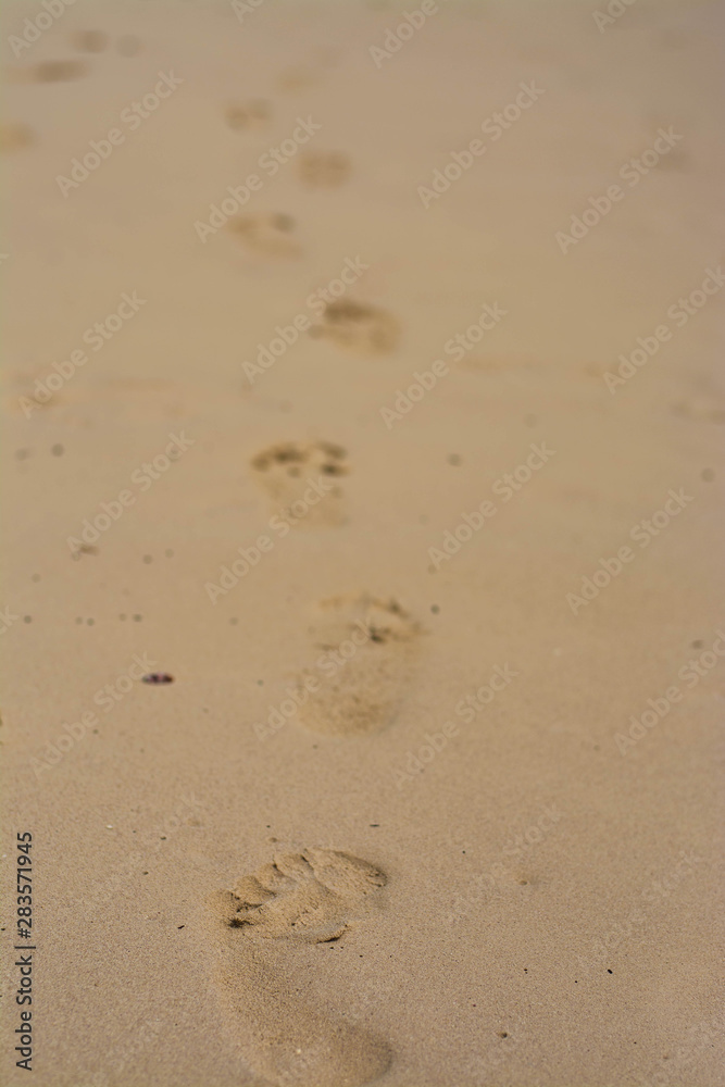 Panoramic views of the sandy beach, the mountains and footprints in the sand at low Panoramic views of the sandy beach, the mountains and footprints in the sand at low