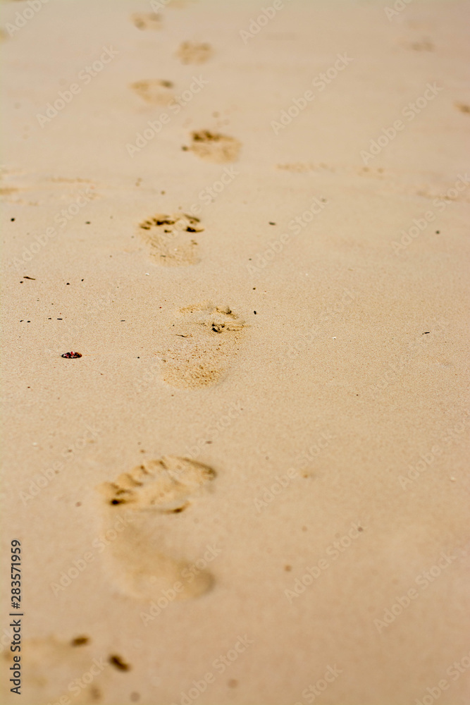 Panoramic views of the sandy beach, the mountains and footprints in the sand at low Panoramic views of the sandy beach, the mountains and footprints in the sand at low