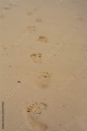 Panoramic views of the sandy beach, the mountains and footprints in the sand at low