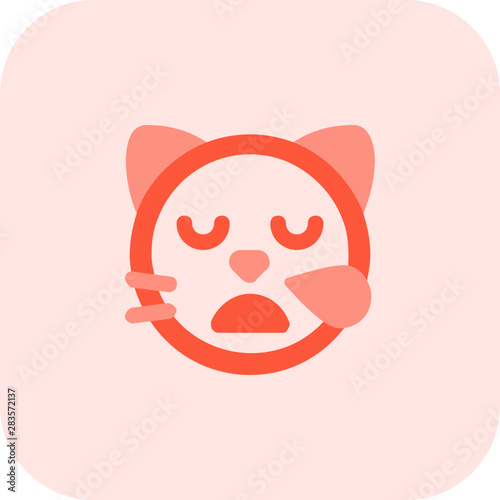 Tired cat face emoji with sweat drop