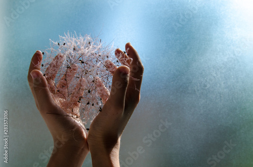 Photography Hands hold a plant on green background on sunshine
