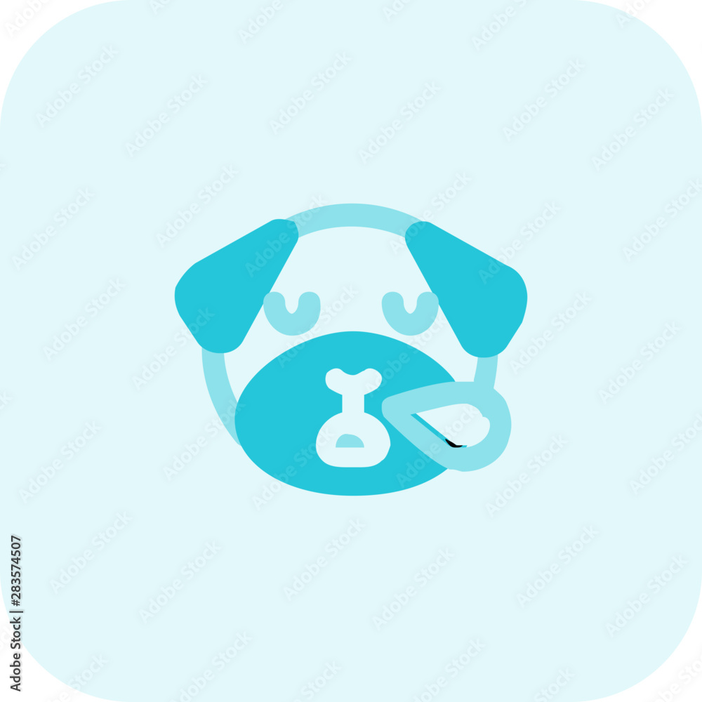 pug dog snoring with sweat drop from nose pug dog snoring with sweat drop from nose