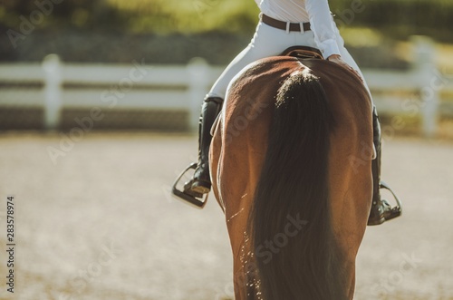 Vászonkép Professional Horse Riding