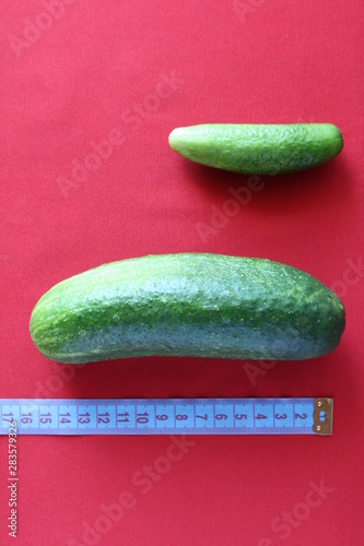 big and small green cucumber on a red background